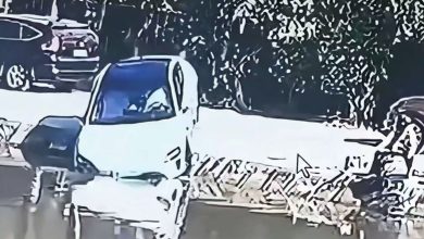 سوتی عجیب شیائومی! / حرکت خودکار به سمت آب