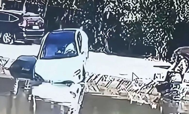 سوتی عجیب شیائومی! / حرکت خودکار به سمت آب