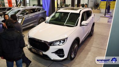 قیمت امروز انواع فیدلیتی در بازار و کارخانه – دوشنبه 1 دی 1404